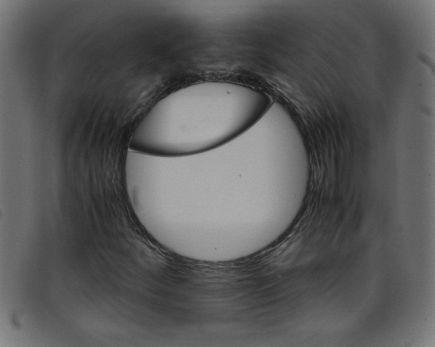 X0000098041252200804251031