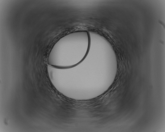 X0000098041253200804251031