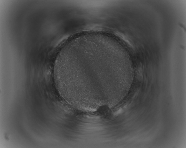 X0000098041254200804251031