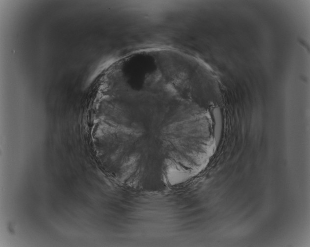 X0000098041255200804251031