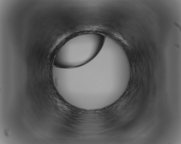 X0000098041256200804251031