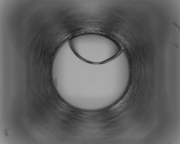 X0000098041257200804251031