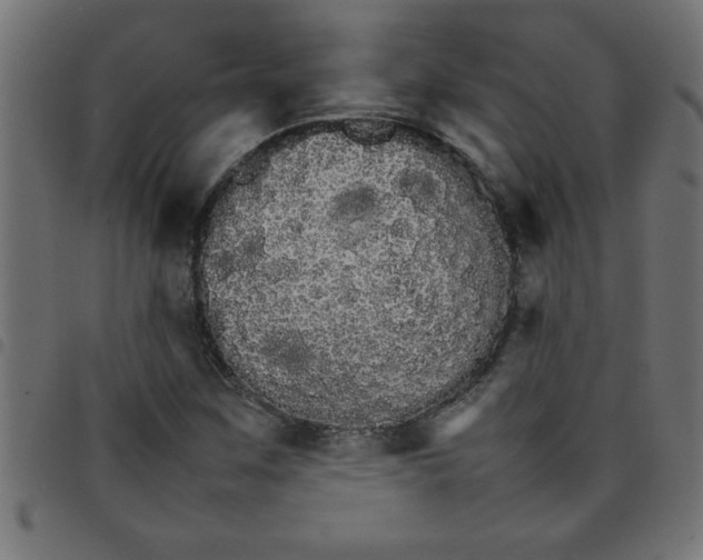 X0000098041259200804251031