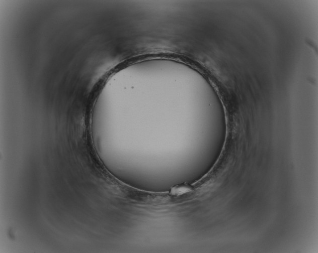 X0000098041261200804251031