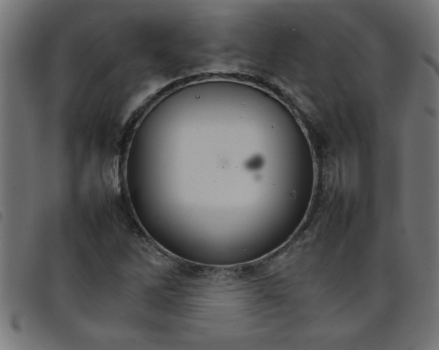 X0000098041262200804251031