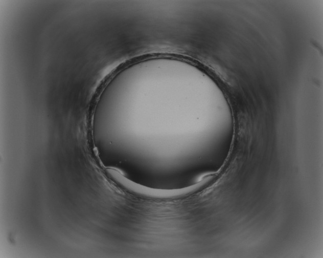 X0000098041264200804251031