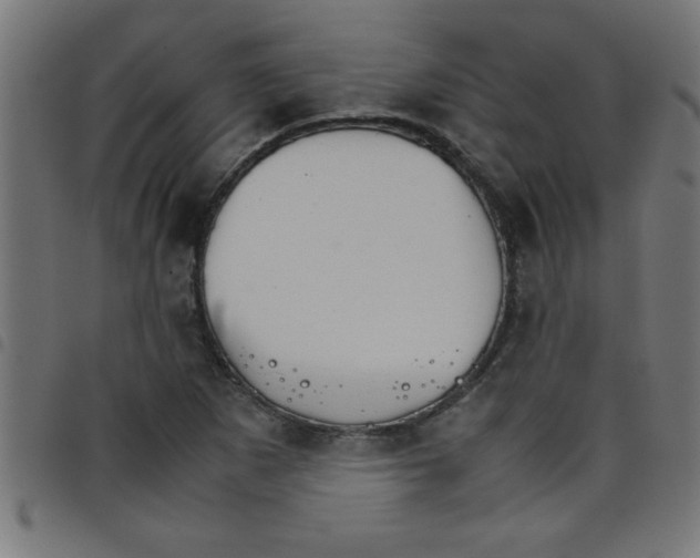 X0000098041265200804251031