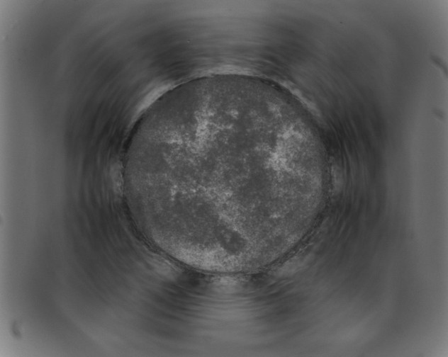 X0000098041266200804251031