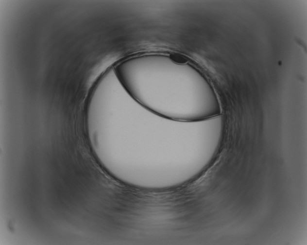 X0000098041269200804251031