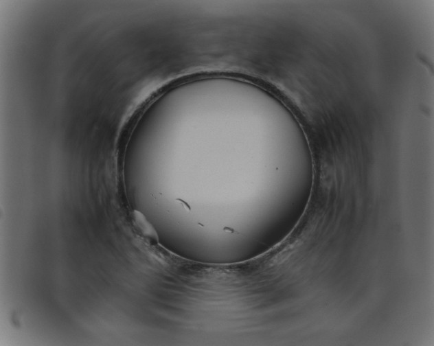 X0000098041270200804251031