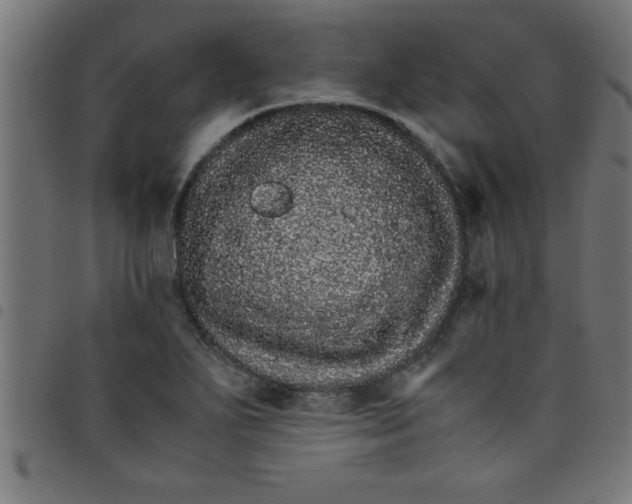 X0000098041271200804251031