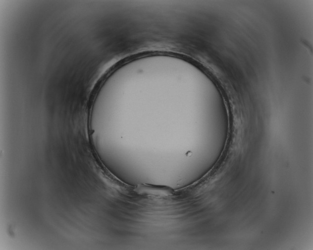 X0000098041272200804251031