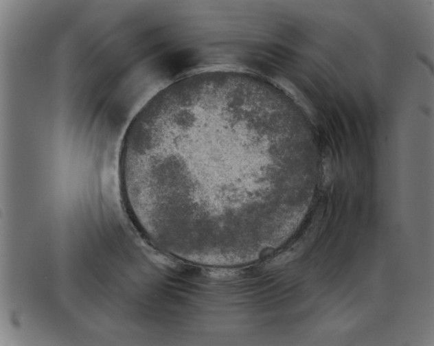 X0000098041274200804251031