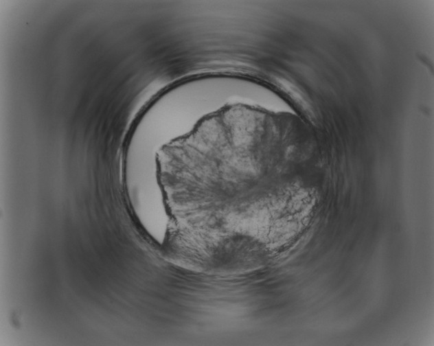 X0000098041275200804251031