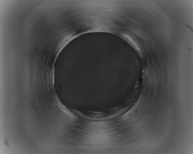 X0000098041276200804251031