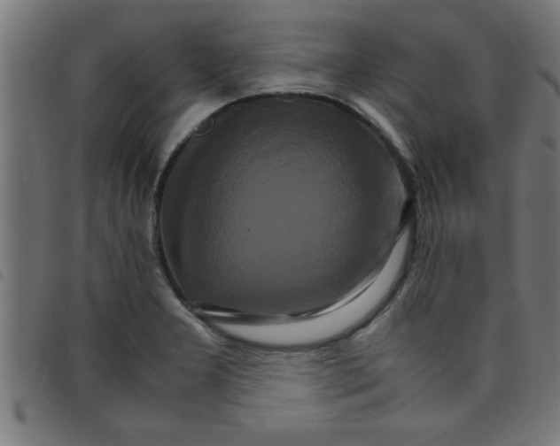 X0000098041277200804251031