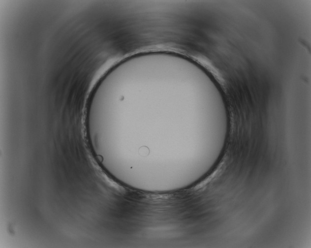 X0000098041278200804251031