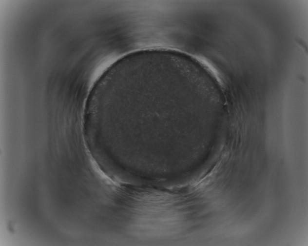 X0000098041279200804251031