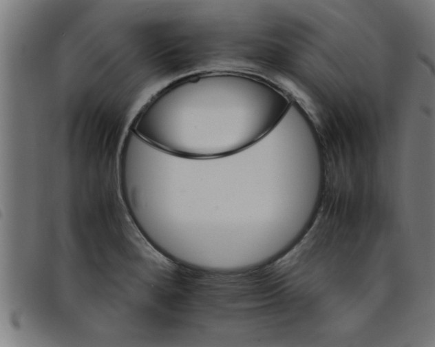 X0000098041280200804251030