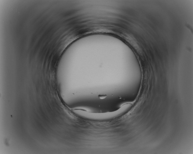 X0000098041281200804251030