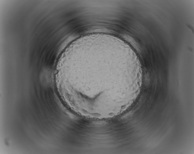 X0000098041282200804251030