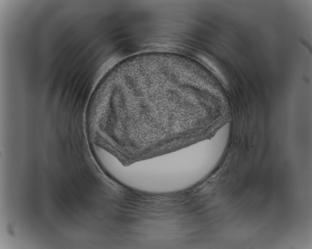 X0000098041283200804251030