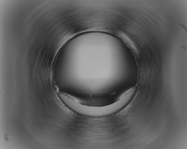 X0000098041284200804251030