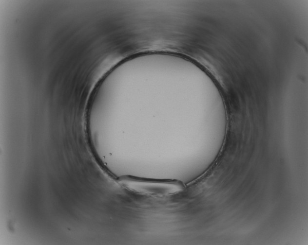 X0000098041285200804251030