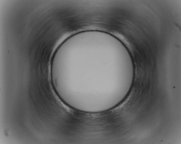 X0000098041286200804251030