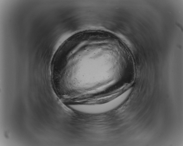 X0000098041287200804251030