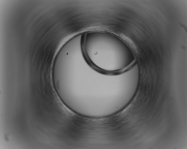 X0000098041288200804251030