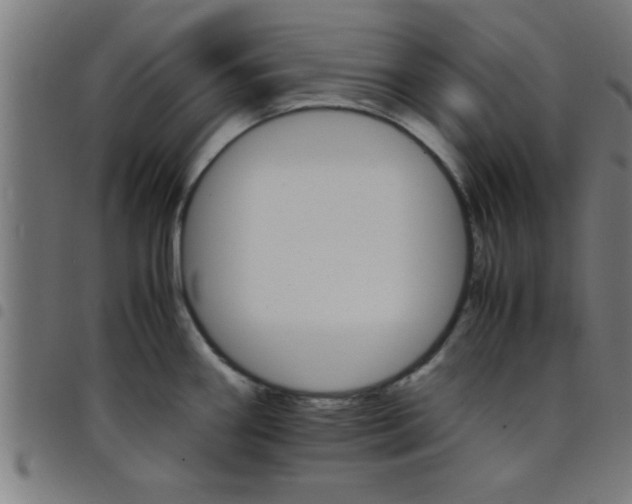 X0000098041290200804251030