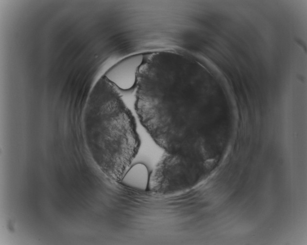 X0000098041291200804251030