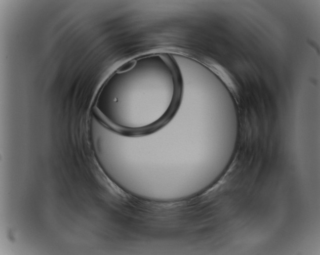 X0000098041292200804251030