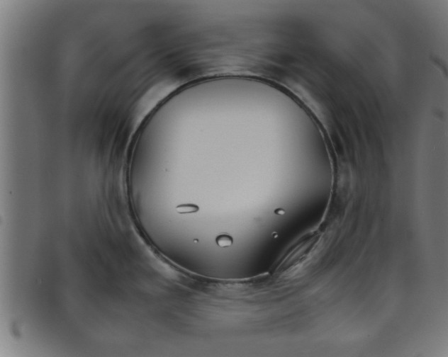 X0000098041293200804251030