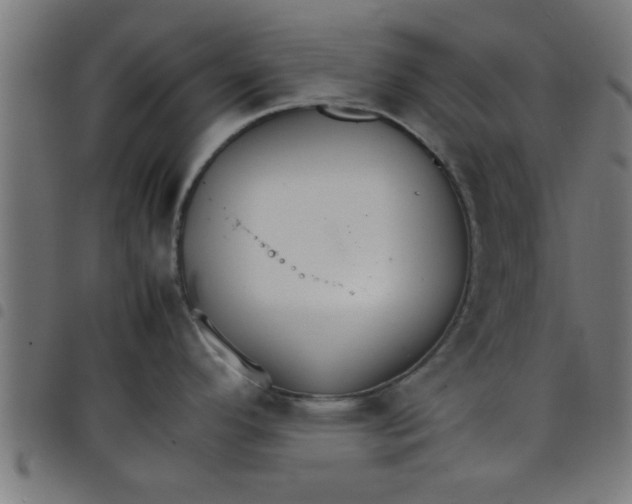 X0000098041296200804251030