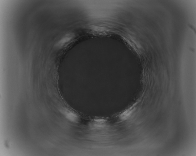 X0000098041297200804251030