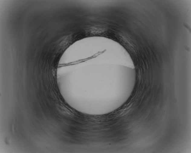 X0000098041299200804251030