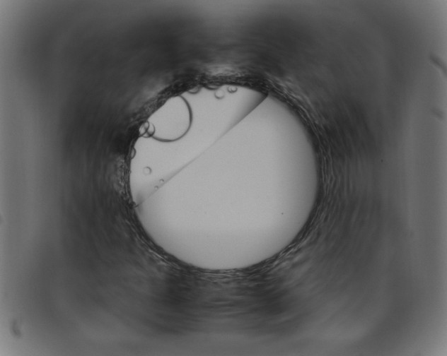 X0000098041301200804251030