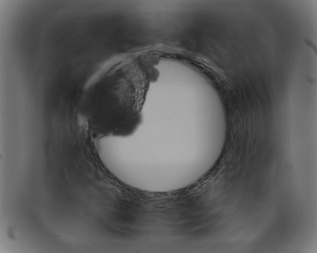 X0000098041302200804251030