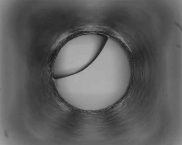 X0000098041304200804251030