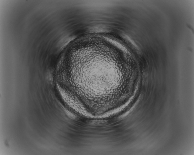 X0000098041305200804251030