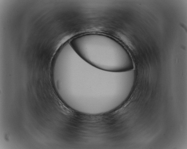 X0000098041308200804251030