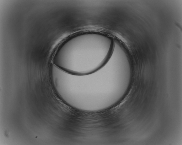 X0000098041310200804251030