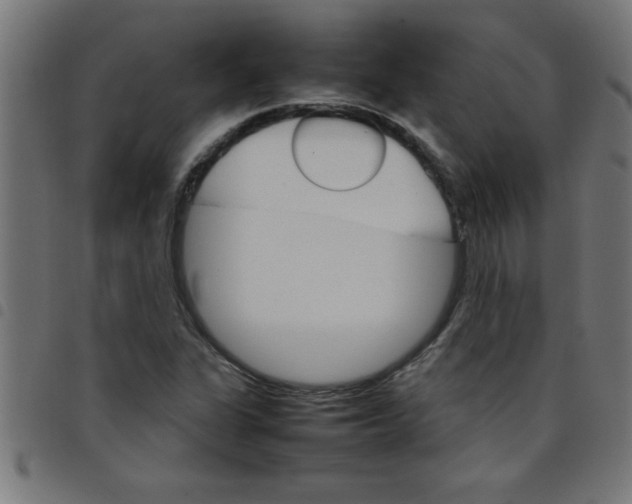 X0000098041311200804251030