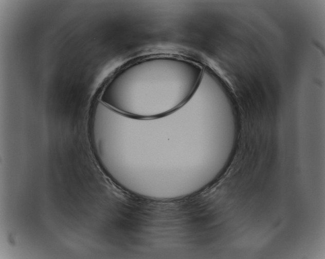 X0000098041312200804251030