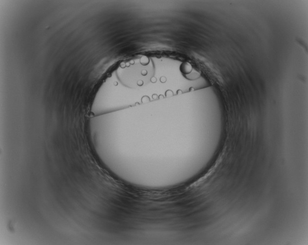 X0000098041313200804251030