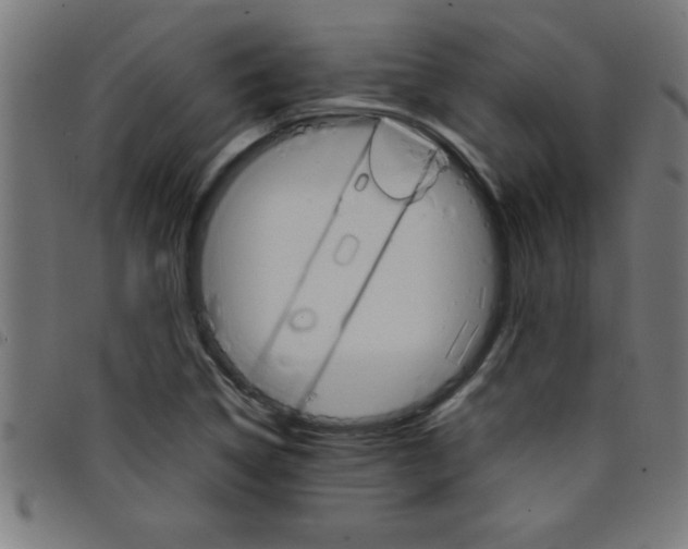 X0000098041314200804251030