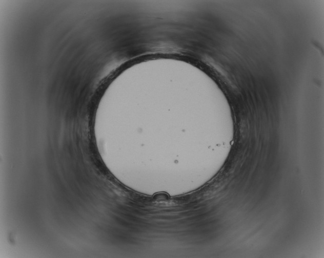 X0000098041315200804251030