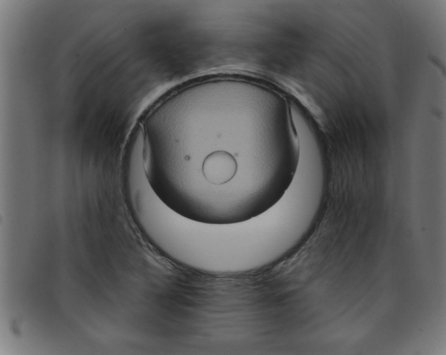 X0000098041316200804251030